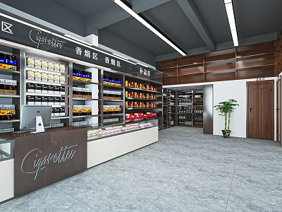 Tobacco and Alcohol Store Interior With Well Organized Shelves And Product Displays 3d model