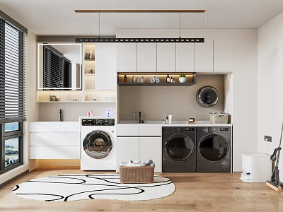 Modern Stylish Laundry Room With Functional Cabinetry Washing Machine Dryer And Decorative Rug 3d model