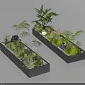 Garden Landscape Design in Rectangular Black Planters with Various Green Plants Stones and Fresh Ferns