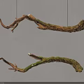 Branch Shaped Wall Hanging with Natural Brown Green Texture for Home Decorative