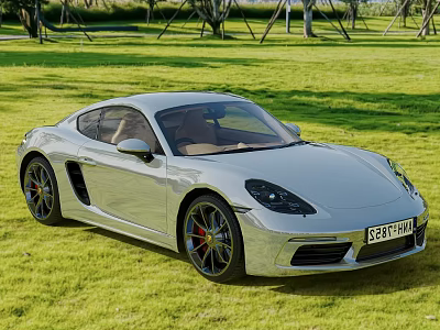 Silver Porsche Sleek Sports Car Parked On Green Grass With Trees 3d model
