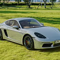Silver Porsche Sleek Sports Car Parked On Green Grass With Trees