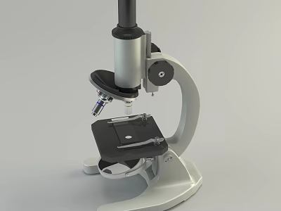 Commercial Microscope Equipment With High Precision Optics And Adjustable Stage 3d model