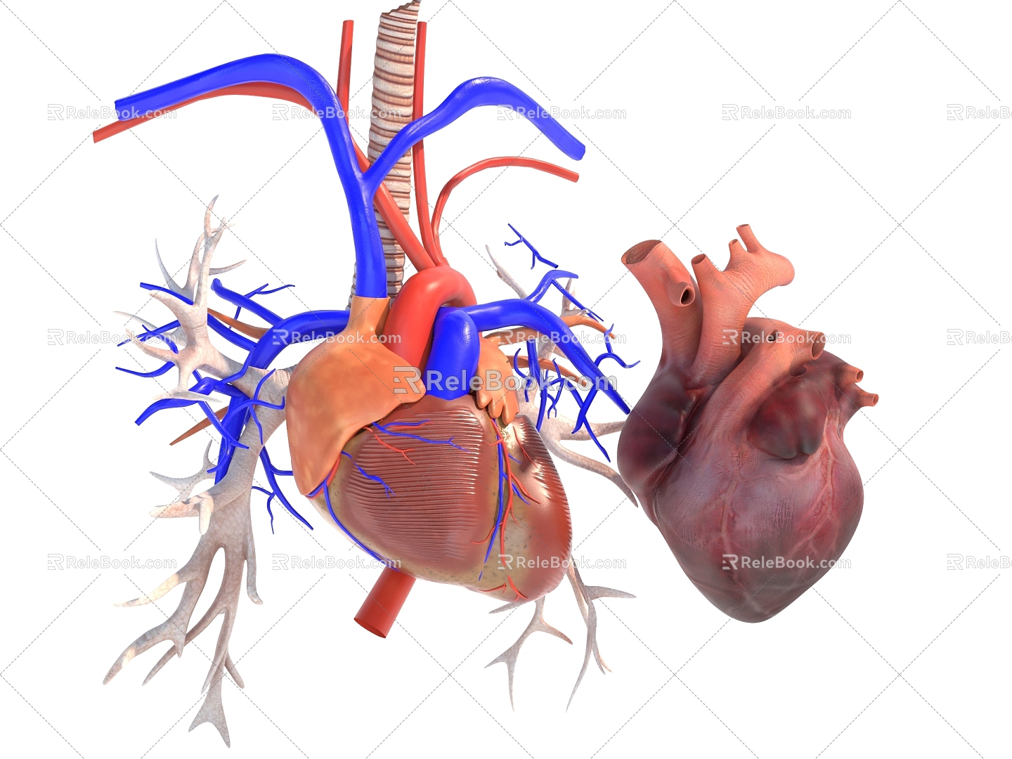 The Modern Heart 3d model