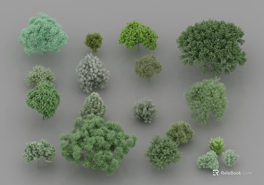 Various Types Of Trees With Different Sizes Shapes And Green Foliage Collection 3d model 
