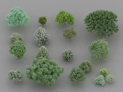 Various Types Of Trees With Different Sizes Shapes And Green Foliage Collection 3d model