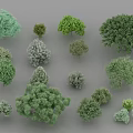 Various Types Of Trees With Different Sizes Shapes And Green Foliage Collection