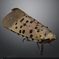Spotted Insect with Brown Spotted Wings and Yellow Body on Dark Background