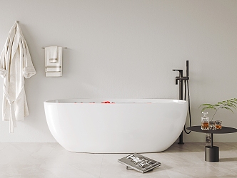 Modern Bathtub 3d model