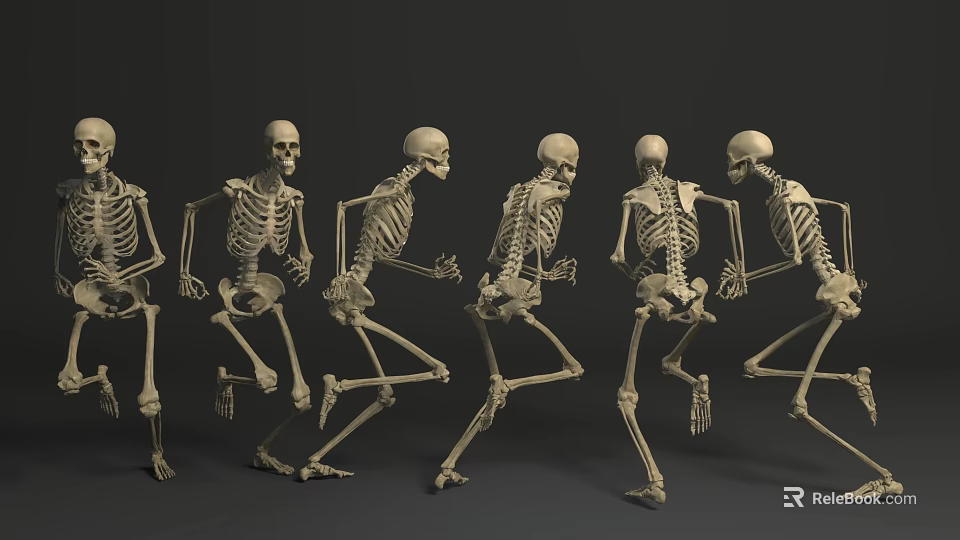 Multiple Human Skeletons Running In Dynamic Motion Sequence 3D Rendering 3d model 