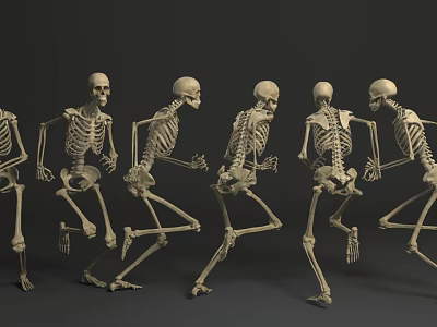 Multiple Human Skeletons Running In Dynamic Motion Sequence 3D Rendering 3d model