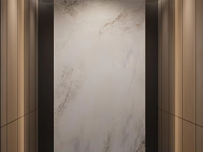 Elevator Interior Design With Marble Wall And Wooden Side Panels And Ceiling Lighting 3d model