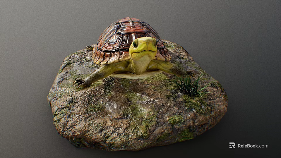 Reptile Turtle With Detailed Shell Resting On Mossy Rock With Small Grass 3d model 