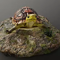 Reptile Turtle With Detailed Shell Resting On Mossy Rock With Small Grass 3d model