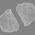 Rough Natural Stone With Detailed Surface Texture Two Pieces On Dark Background