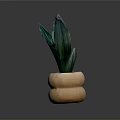 Green Leaf Plant In Terracotta Double Layered Pot With Dark Background