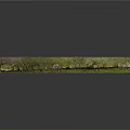 Rustic Wood and Stone Decorative Slab with Natural Green Mossy Surface