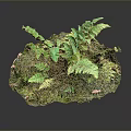 Detailed Miniature Natural Landscape Component With Lush Green Ferns And Mossy Covering