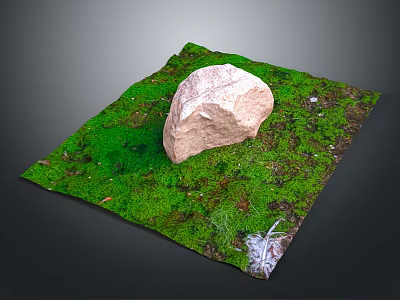 Natural Outdoor Moss Covered Ground With Large Stone Small Plants And Feather 3d model