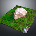 Natural Outdoor Moss Covered Ground With Large Stone Small Plants And Feather