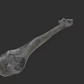 Human Anatomical Limb Bone 3D Model With Detailed Surface Texture On Dark Background 3d model