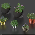 Colorful Potted Bonsai Plants With Green Foliage And Small Purple Pink Flowers