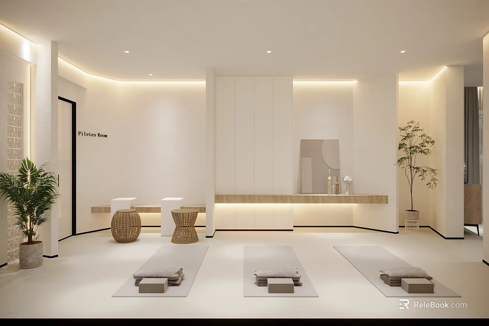 Bright Minimalist Yoga Studio With Mats And Plants 3d model 