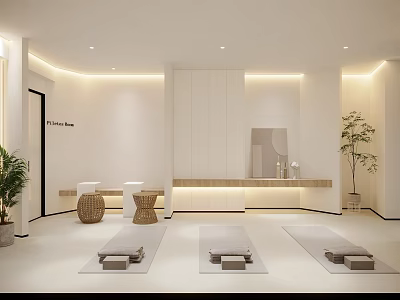 Bright Minimalist Yoga Studio With Mats And Plants 3d model