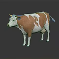 Brown And White Cow Standing On Black Background With Reflection 3d model