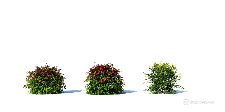 Ornamental Garden Shrubs With Red And Green Foliage For Landscaping 3d model 