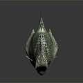 Leopard Boxfish With Green White Spotted Pattern Blue Eyes And Fins