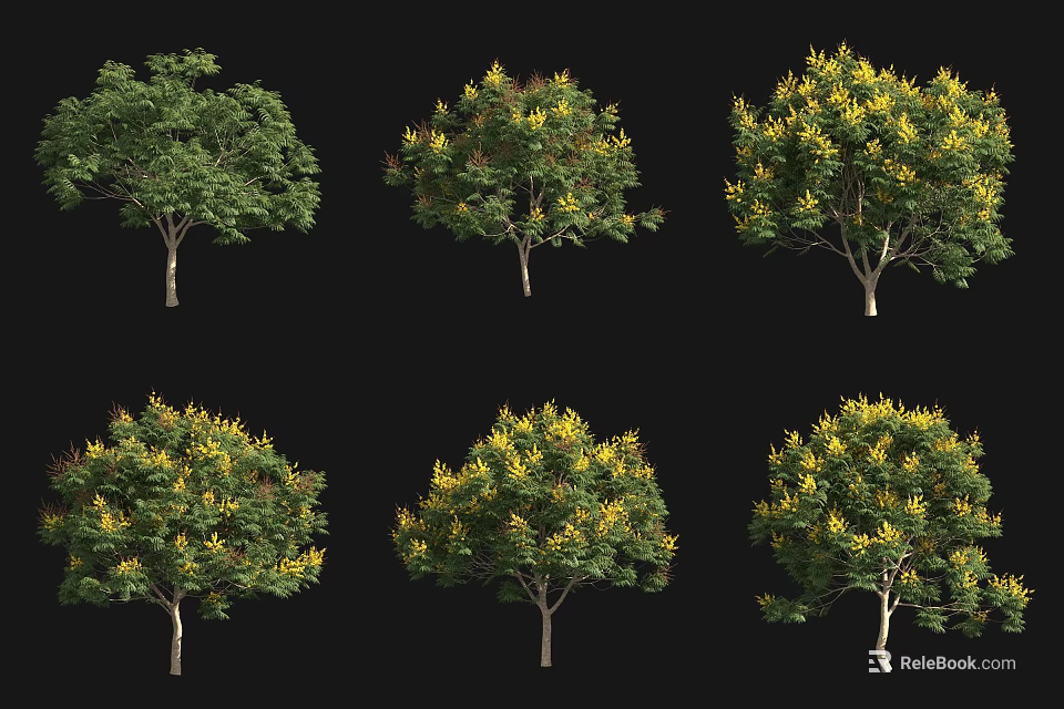 Arbor Trees With Different Forms And Yellow Foliage For Landscape Design 3d model 