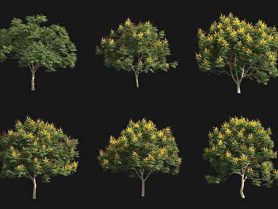 Arbor Trees With Different Forms And Yellow Foliage For Landscape Design 3d model