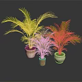 Three Green Palm Plants in Different Ceramic Pots on Dark Surface 3d model