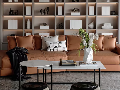 Modern Living Room Interior With Brown Sofa Geometric Pillows White Vase Green Plants And Bookshelves 3d model