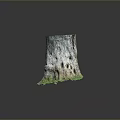 Natural Tree Stump With Detailed Bark Texture And Fresh Green Moss At The Base