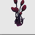 Strange Plant Creature With Multiple Magenta Buds And Purple Curved Stems