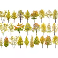 Modern Ginkgo Tree Landscape Arbor Yellow Tree 3d model