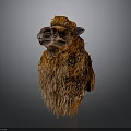 Realistic Fluffy Brown Camel With Thick Fur Standing Against Dark Background