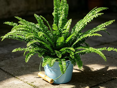 Lush Green Fern Potted Plant in Light Blue Bucket With Wooden Handle on Stone Pavement 3d model