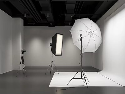 Professional Photography Studio Setup With Softbox Umbrella Camera Tripod And White Backdrop 3d model