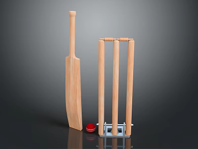 High Quality Wooden Cricket Sports Equipment Set With Bat Stumps And Ball 3d model