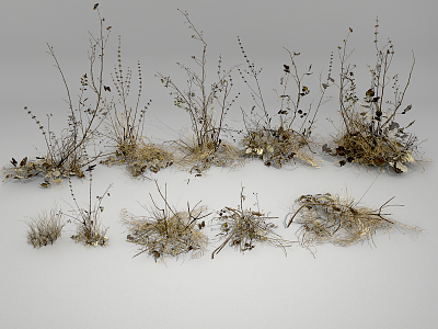 modern grass withered grass model