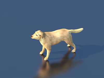 Detailed Light Colored Dog Standing on Blue Background with Reflective Surface 3d model