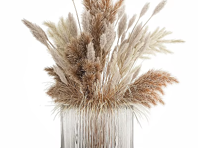 Decorative Ornament Set with Dried Pampas Grass in Transparent Striped Vase Brown and Beige 3d model