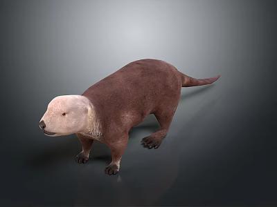 Beaver with brown body and light colored head in standing posture on gray background 3d model