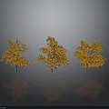 Three Trees With Orange Leaves Against Gray Background With Reflections On The Ground