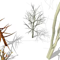 Different Arbor Tree Varieties With Diverse Branch Structures and Natural Growth Forms 3d model
