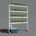 Vertical Farming Agricultural Equipment With Multi Layered Plant Racks And Green Vegetables