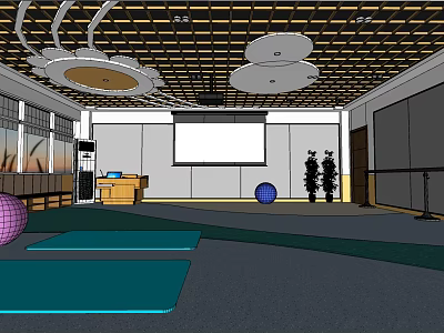 Spacious Indoor Fitness Studio With Yoga Mats Balls Projector Screen And Mirrors 3d model